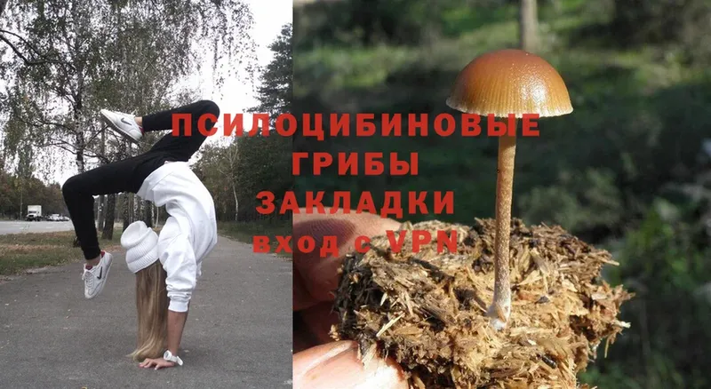 Галлюциногенные грибы Magic Shrooms Бологое